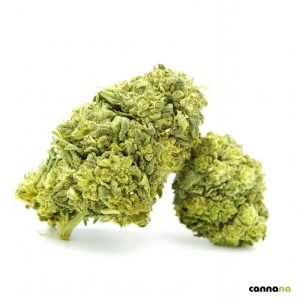 Top glazētie cepumi 55% ❄️🍪