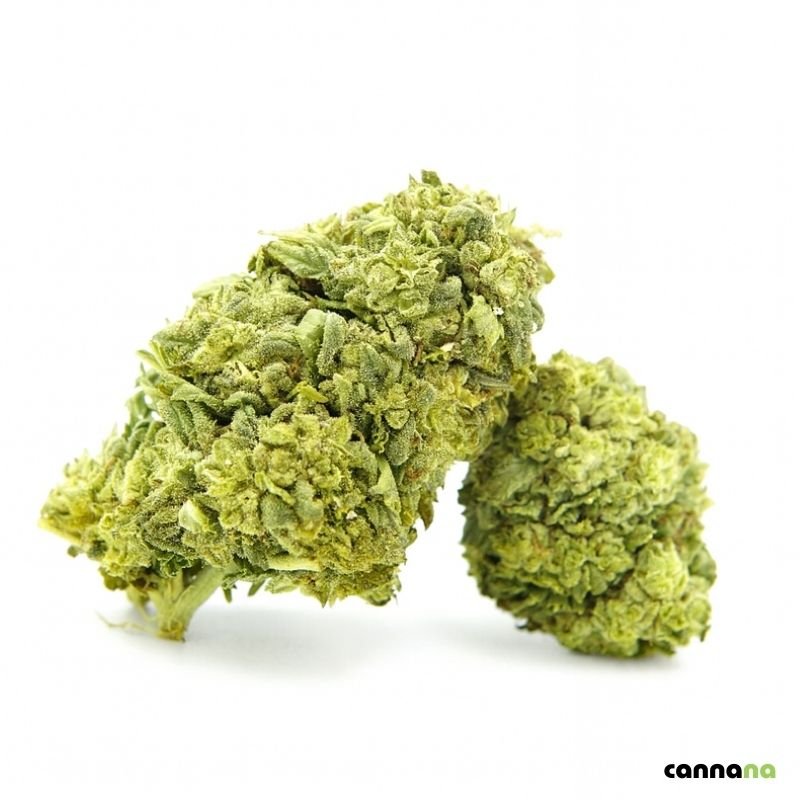 Top glazētie cepumi 55% ❄️🍪