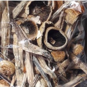 Die Penis-Neid-Pilze | Pilz