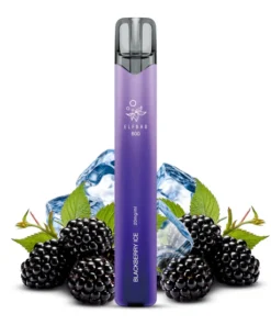 Elfbar 800 Blackberry Ice