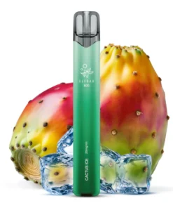 Elfbar 800 Cactus Ice