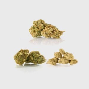 Flower Power 3*5Ā G sÄkuma komplekts