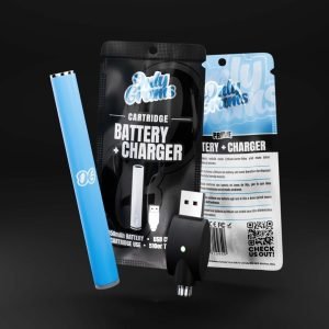 Akumulatora soma + uzlādes adapteris