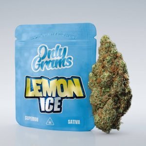 Lemon Ice — augšējais zieds 40%