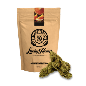 Orange Haze Ökopack