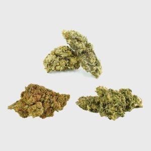 SpÄcÄ«gs augļu punÄsššš