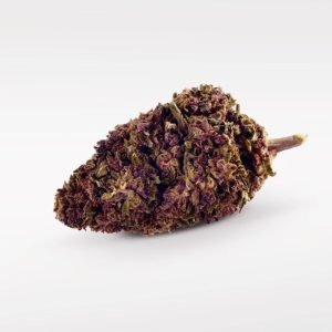 Purple Kinky Kush — izcili ziedoši 40%